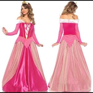 Adult Sleeping Beauty Costume